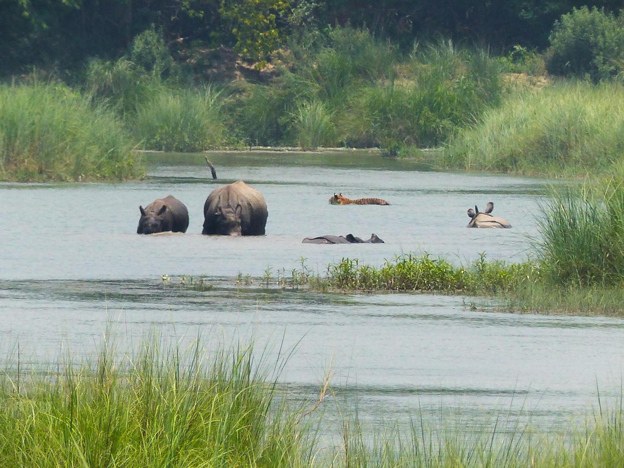 Babai Resort Pvt Ltd Bardiya Екстериор снимка